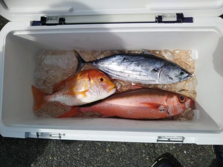 ジギング釣り果